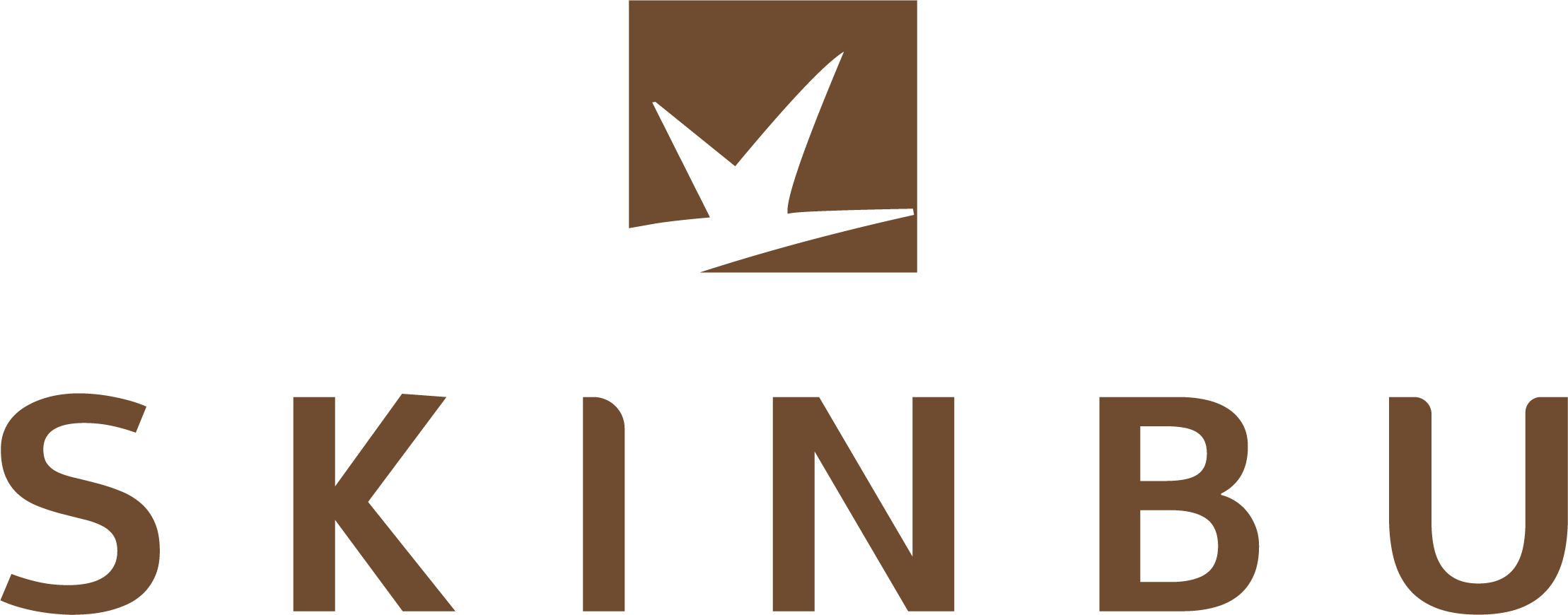 Skinbu