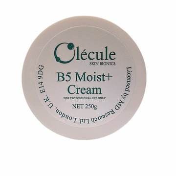 B5 Moist+ Cream 250g